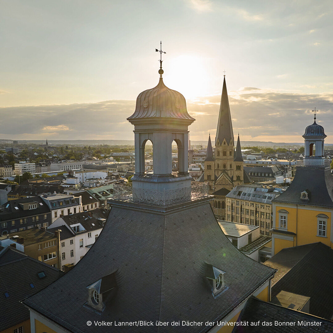 Volgeperspektivische Aufnahme der Dächer der Universität Bonn